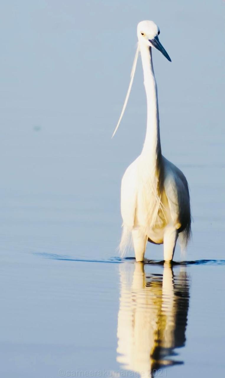 אודוואלאווה Pelican Lake מראה חיצוני תמונה